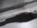 16436330168612554515198112560955.jpg