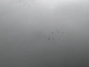 16449317203997416169797492977228.jpg