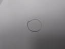 16565089072985839233000695876648.jpg