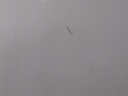 16570106955453636049331818526358.jpg