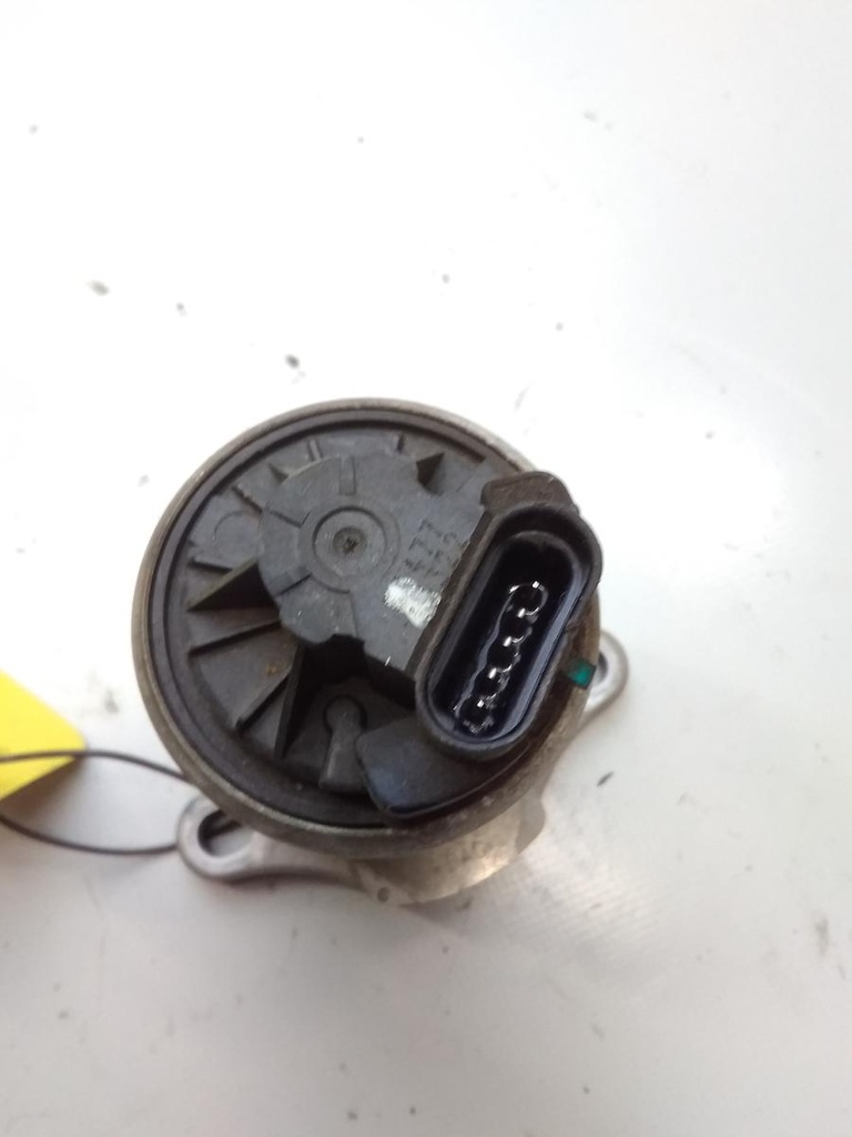 16673169856926955969509167534850.jpg