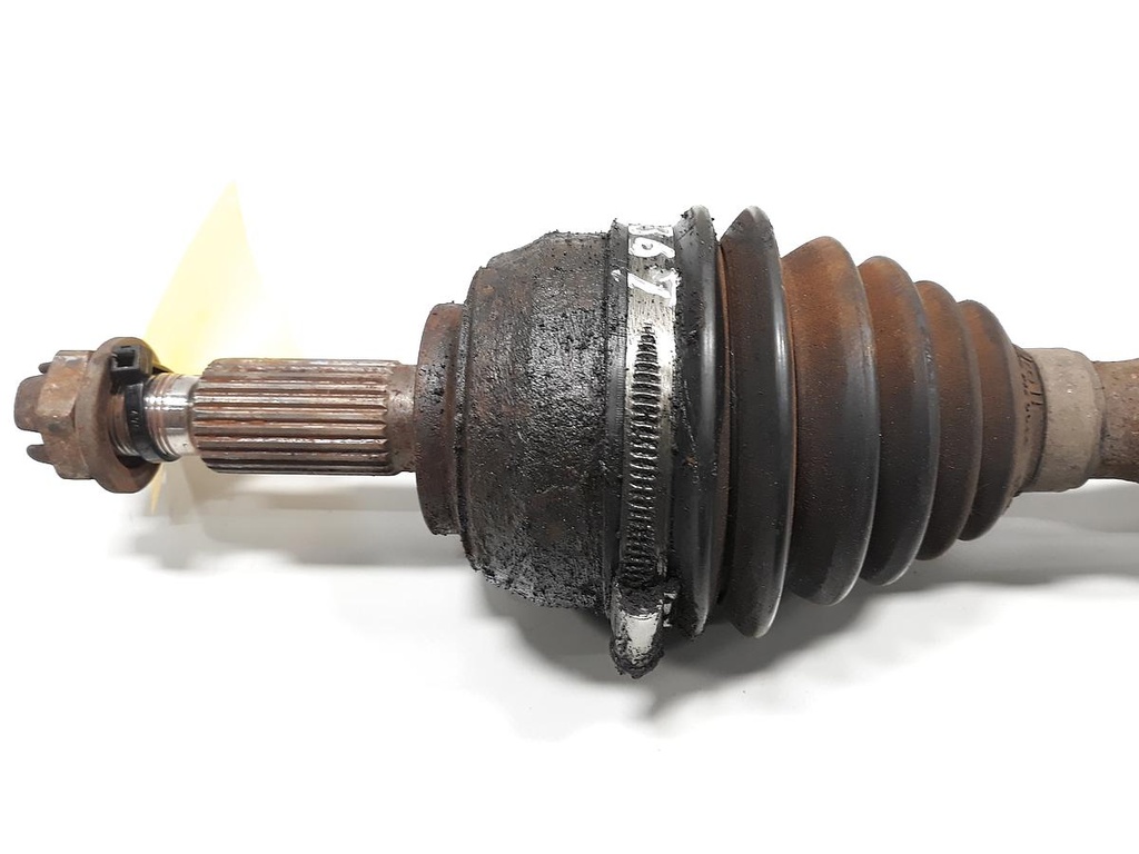 20230126_090112.jpg