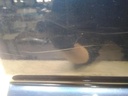 16831975061235947649186059854430.jpg