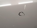 17072931679234537614503408049638.jpg