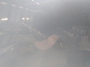 17198149176685749221875676448281.jpg
