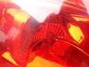 20250211_090913.jpg