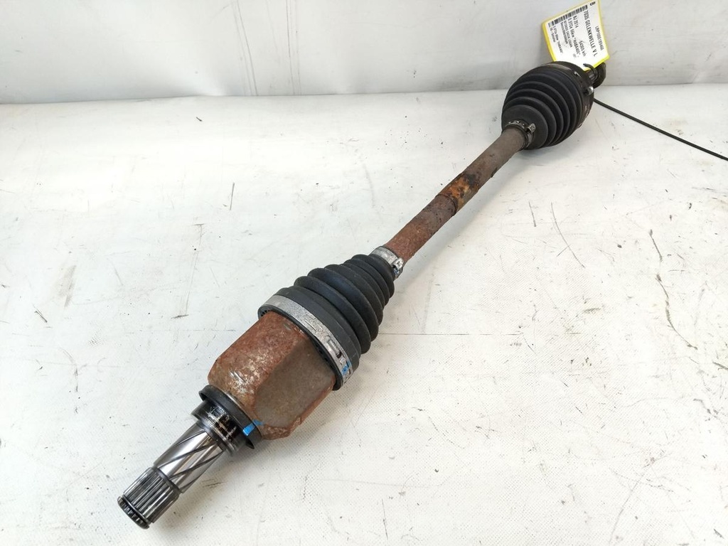 IMG_20250319_132950.jpg