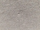 IMG_20250507_123141.jpg