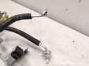 IMG_20250729_123102.jpg