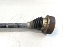 IMG_20251020_123129.jpg
