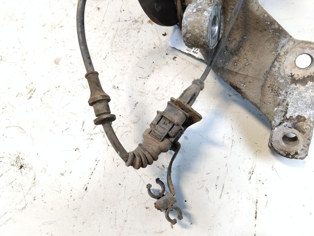 IMG_20260128_153644.jpg