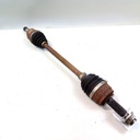 IMG_20260612_123546_8.jpg