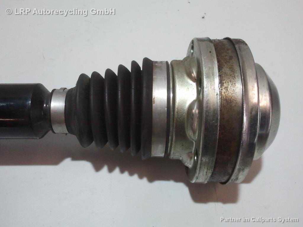 1004129041006_20170418174022.jpg