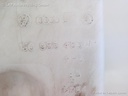1004017561006_20160705090637.jpg