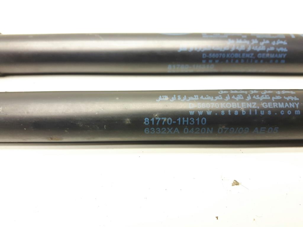 1004731281006_20181019173646.jpg