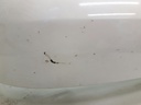 1004618561006_20180614113627.jpg